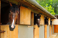 free Bay Horse stable construction quotes